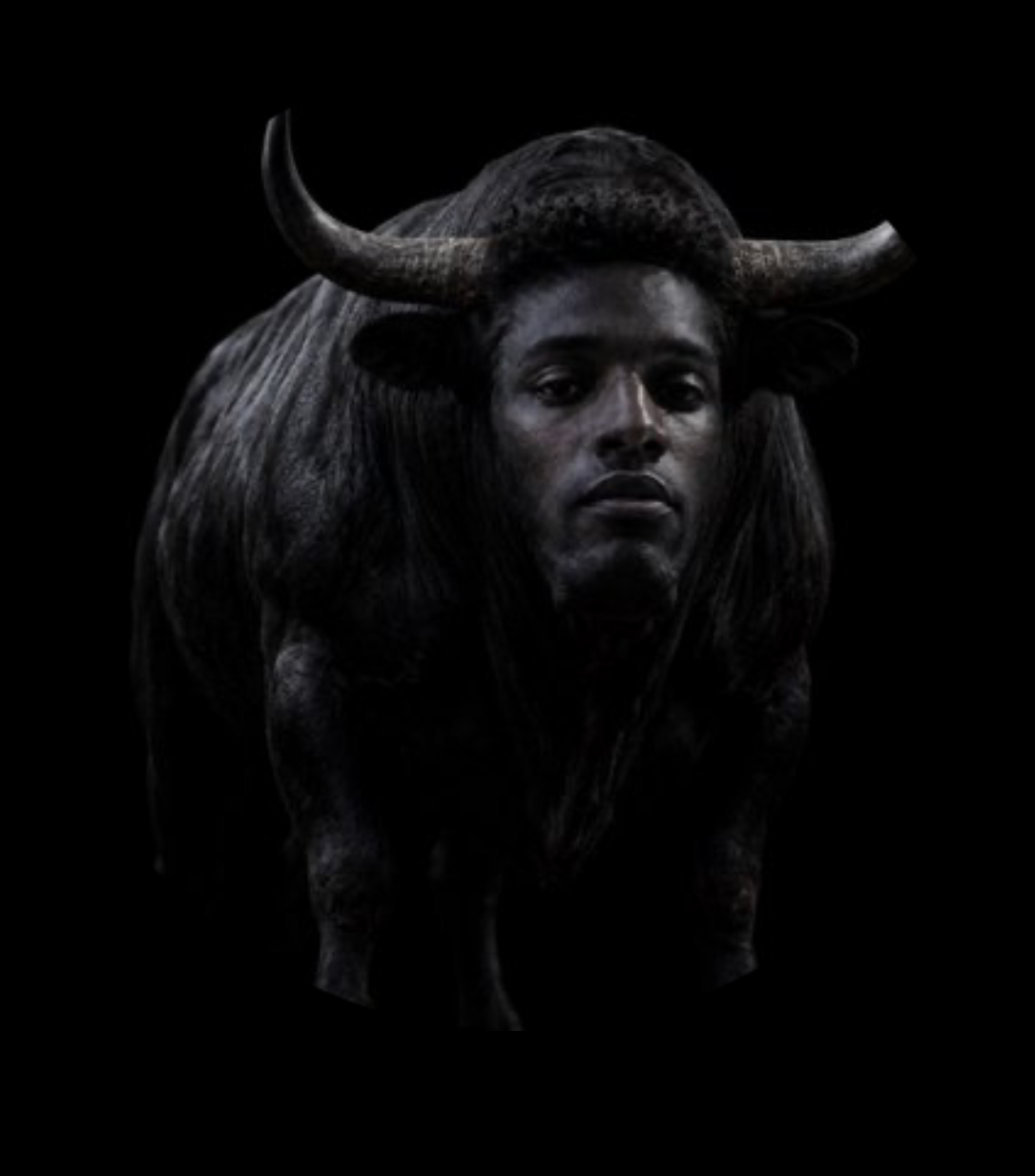 Ansem bull